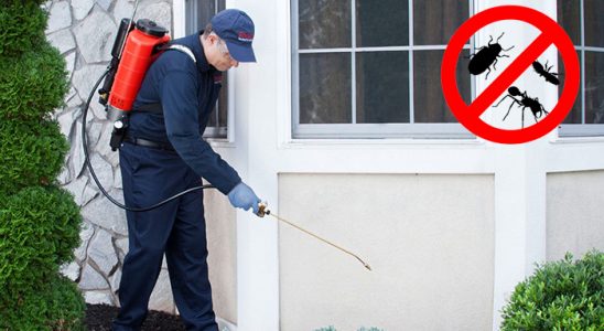Hekimhan Kene İlaçlama böcek ilaçlama ve haşere kontrolü — ilaclama-tr.com